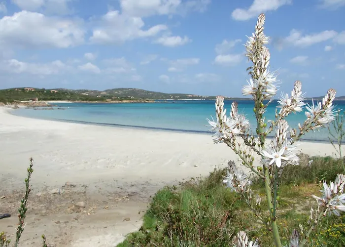 Apartment Nanni By Interhome *